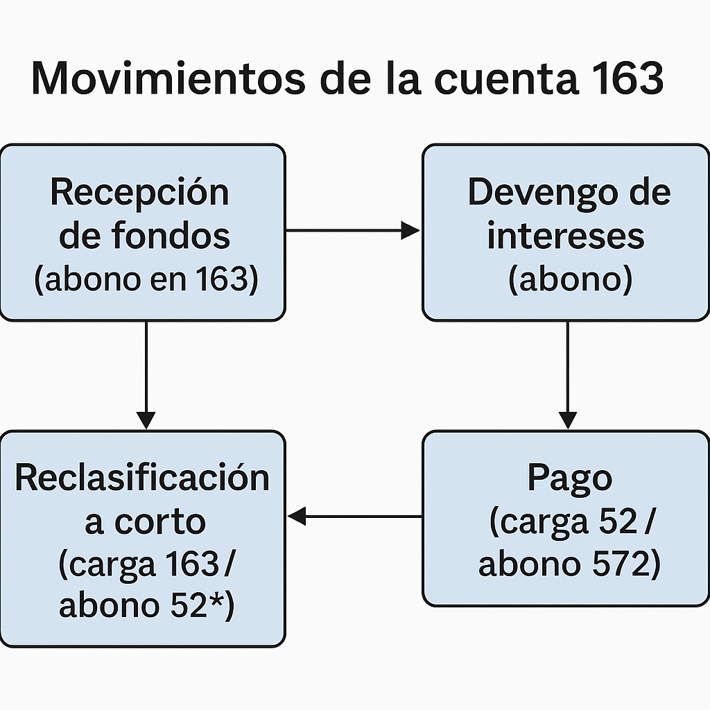 Cuenta 163 PGC – Otras deudas a largo plazo con partes vinculadas